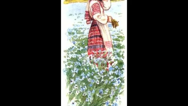 Лен ленок песня. Загадки о льне. Лён растение описание. Лен ленок песня. Лен ленок песня.