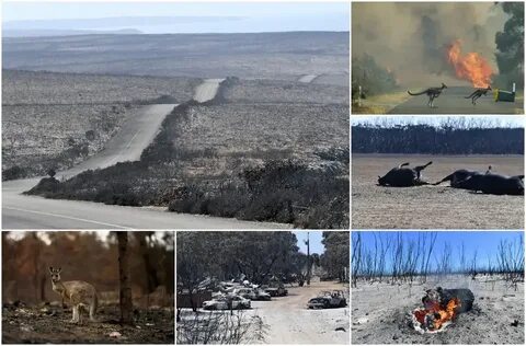 Пожар вред