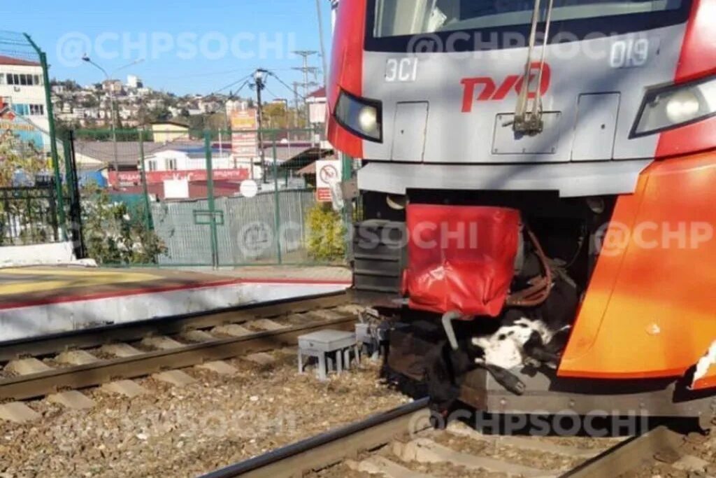 восстановили ли поезда в сочи. взрыв самолета из за плохой погоды. сель в сочи 2022. в сочи насмерть поезд сбил женщину. восстановили ли поезда в сочи.
