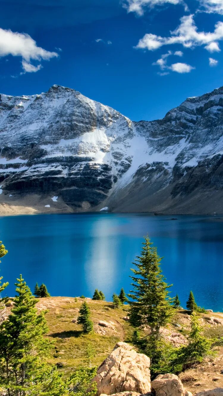 Lake на андроид