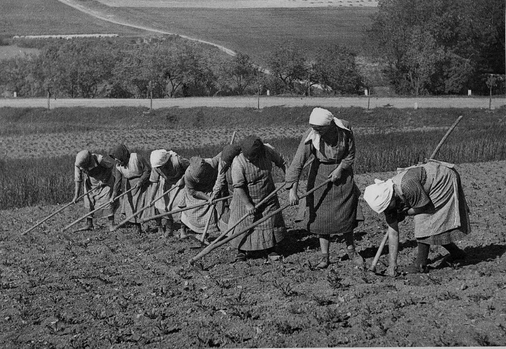 Сельское хозяйство 19-20 век Россия. Сельское хозяйство СССР 1930е. Сельское хозяйство России 19 век. Сельское хозяйство Германия 19 век. Сельское хозяйство в послевоенное время