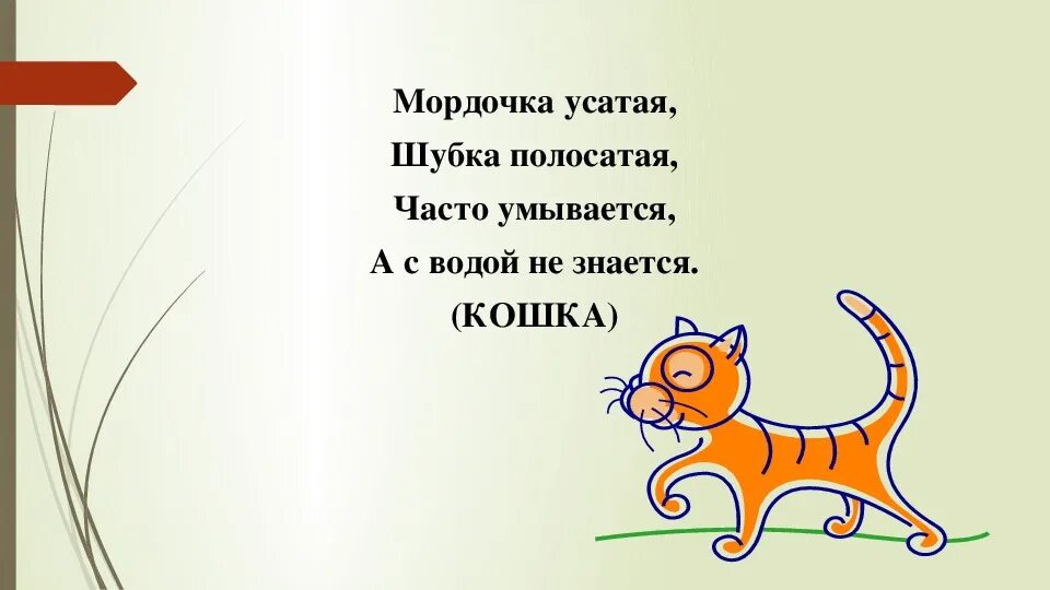 Часто умывается а с водой не знается. Мордочка усатая шубка. Загадка про полосатого кота. Мордочка усатая шубка полосатая часто. Мордочка усатая шубка полосатая часто умывается а с водой.