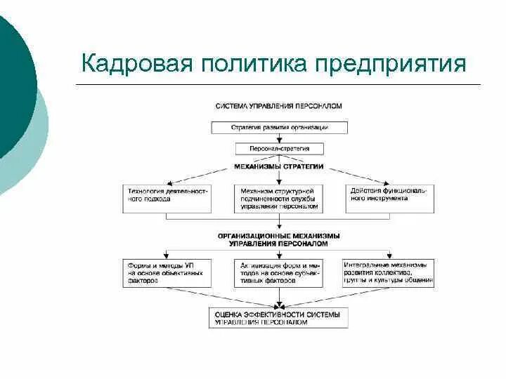 Направлениями кадровой стратегии. Кадровая политика и управление персоналом на предприятии виды. Кадровая политика схема. Пример кадровой политики организации. Этапы кадровой политики организации.