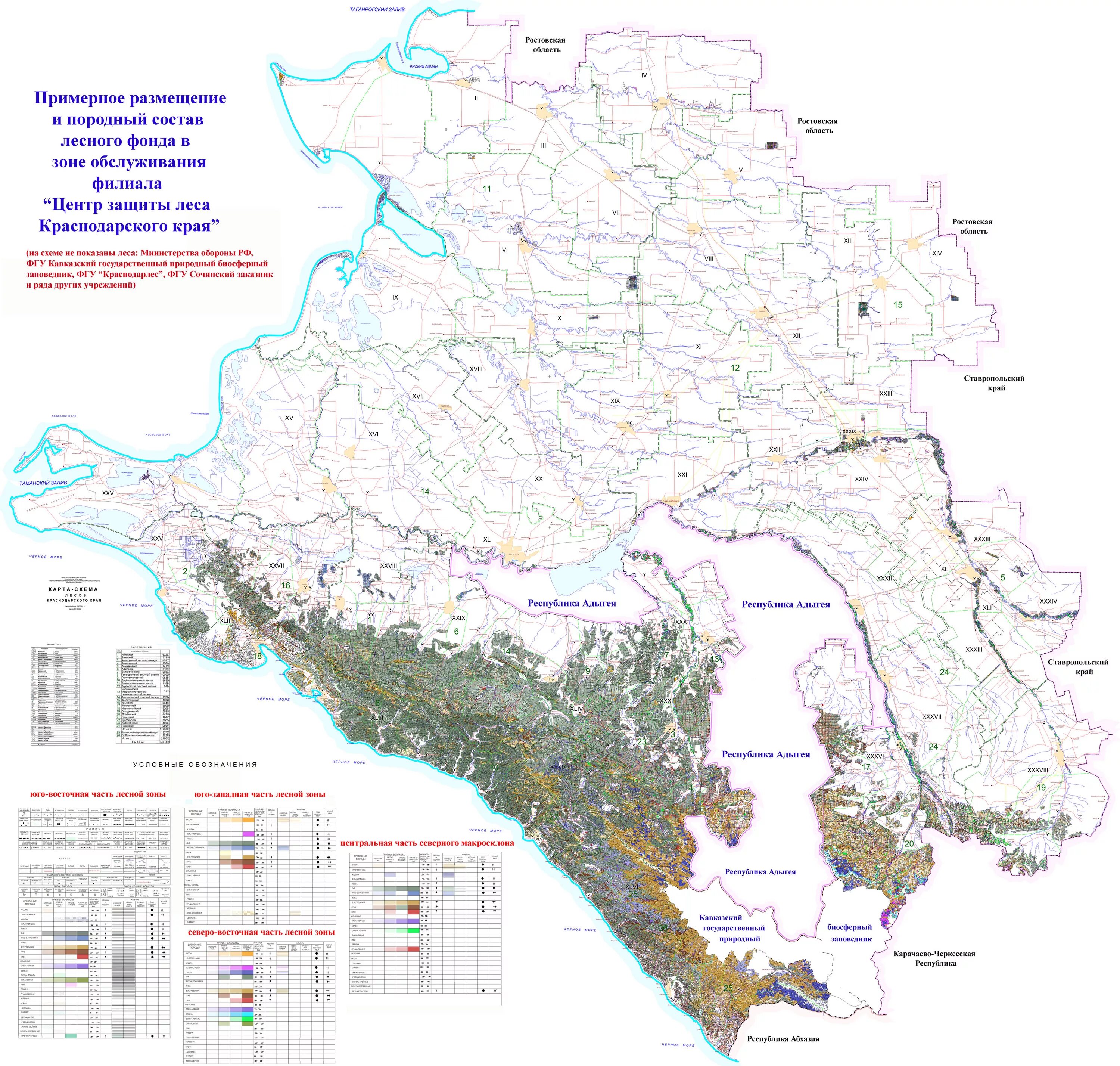 Карта лесничеств Краснодарского края. Карта растительности Краснодарского края. Карта лесного фонда Краснодарского края. Карта схема растительности Краснодарского края.