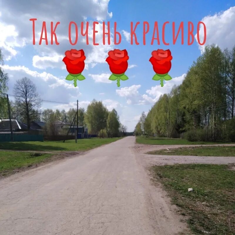 Пакали Тонкинский район. Пакали Нижегородская область. Тонкино Нижегородской области. Тонкино Урень. Цветы урень