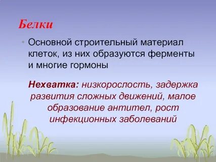 Строительный материал клеток и тканей