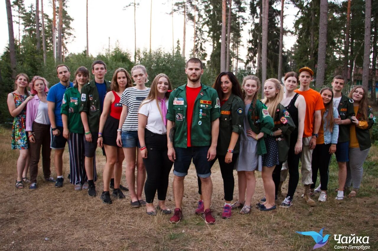 Camp спб. Лагерь Чайка СПБ. Лагерь Чайка Сыктывкар. Детский лагерь в СПБ Чайка.