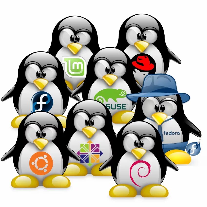 Компания линукс. Пингвинчик линукс. ос linux. linux операционная система. aux lin что это.
