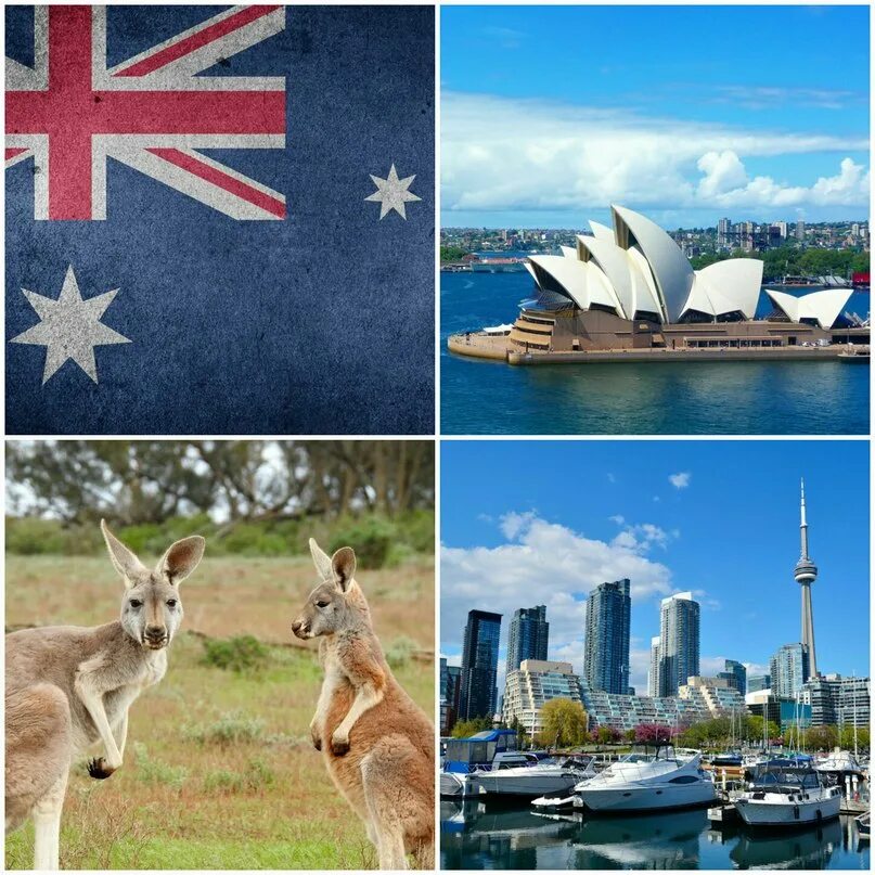 Покажи страну австралию. Австралия. Австралия коллаж. Тема Австралия. Современная Австралия.