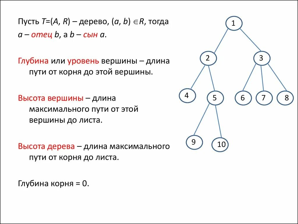 Дано n дерево. Как определить высоту бинарного дерева. высота бинарного дерева формула. графы деревья. дерево графа.
