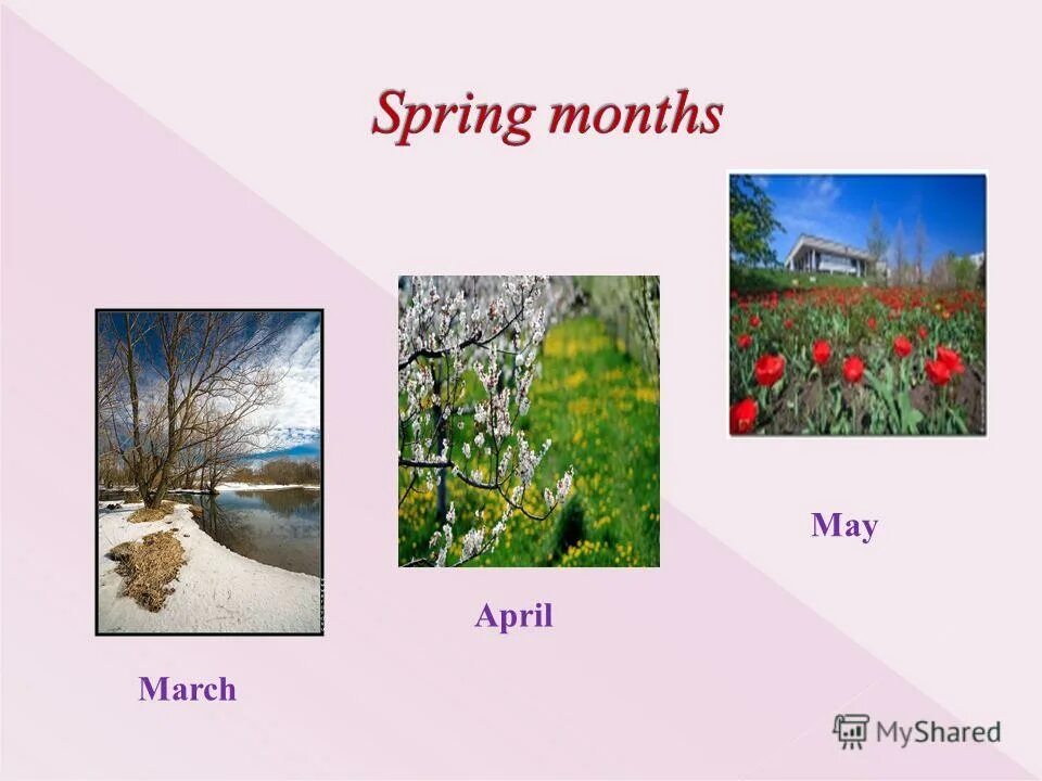 Месяцы весны для детей. Весенние месяцы на английском. Месяца весны на английском. Spring match