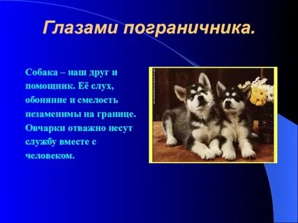 Мини сочинение на тему собаки лучшие друзья