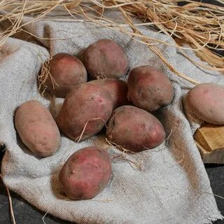 Чем отличается картофель