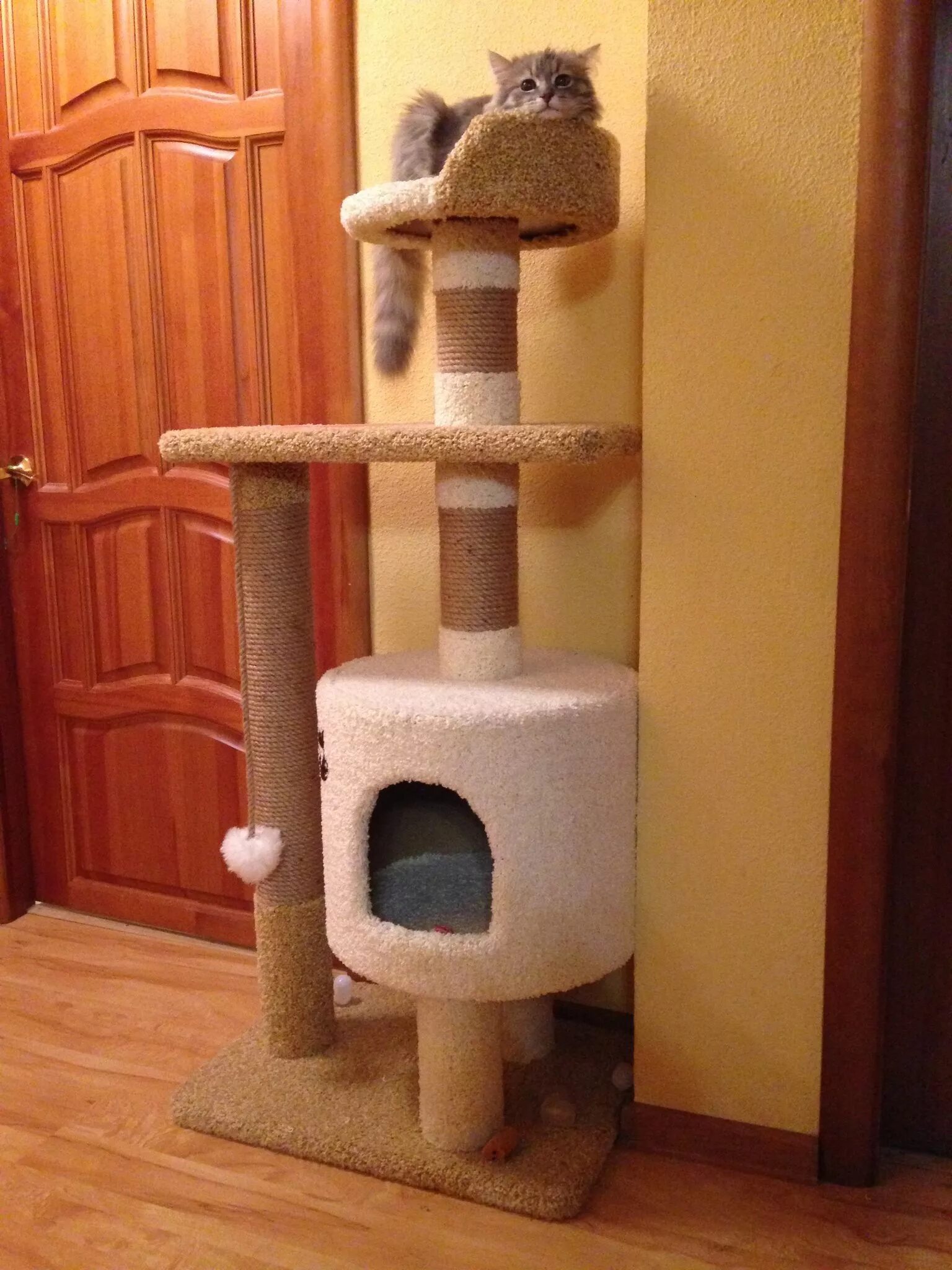 кошкин дом с когтеточкой. кошкин домашние. кошкин домашние. дом для кошки своими руками. игровой комплекс для мейн куна.