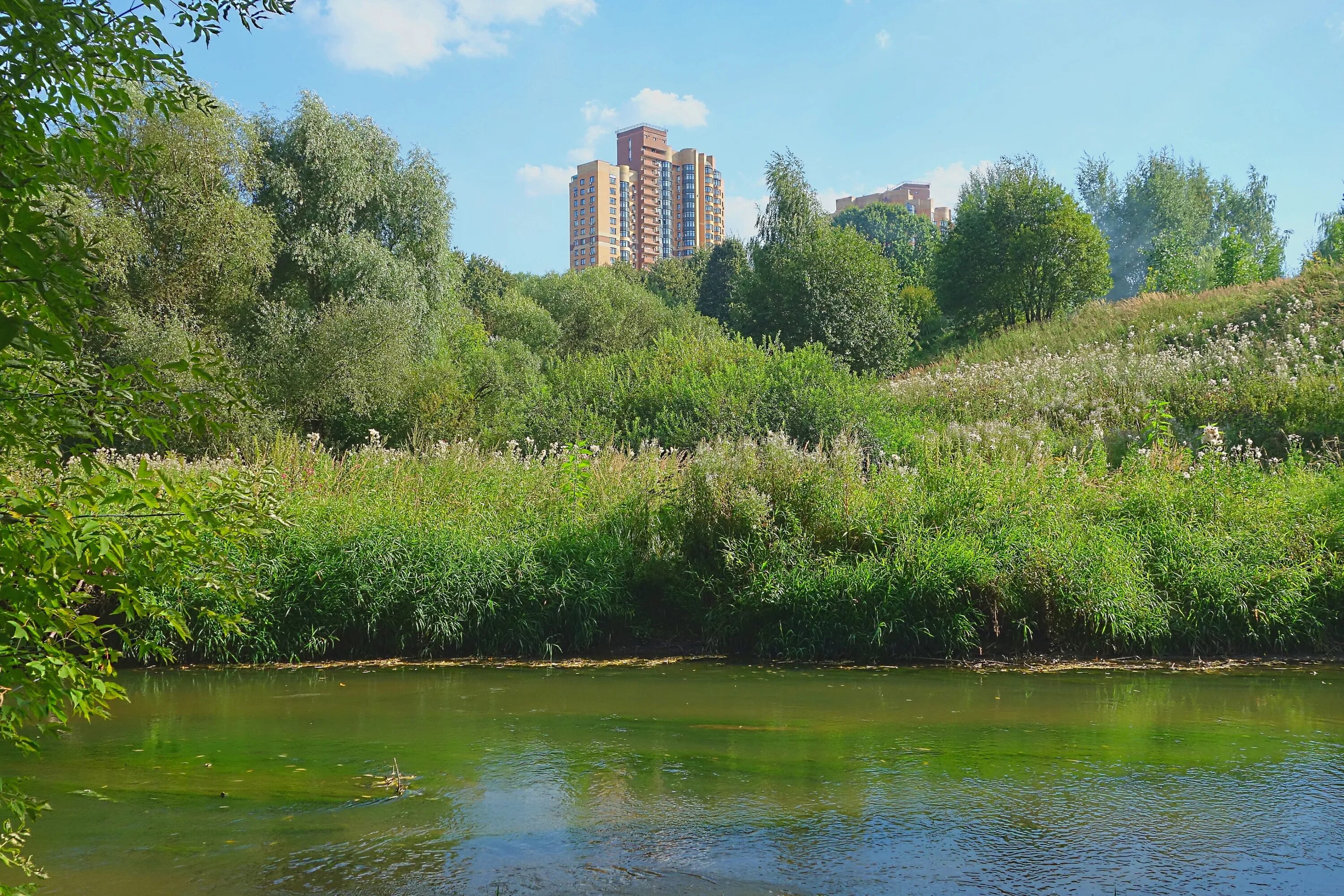 Долина москва река