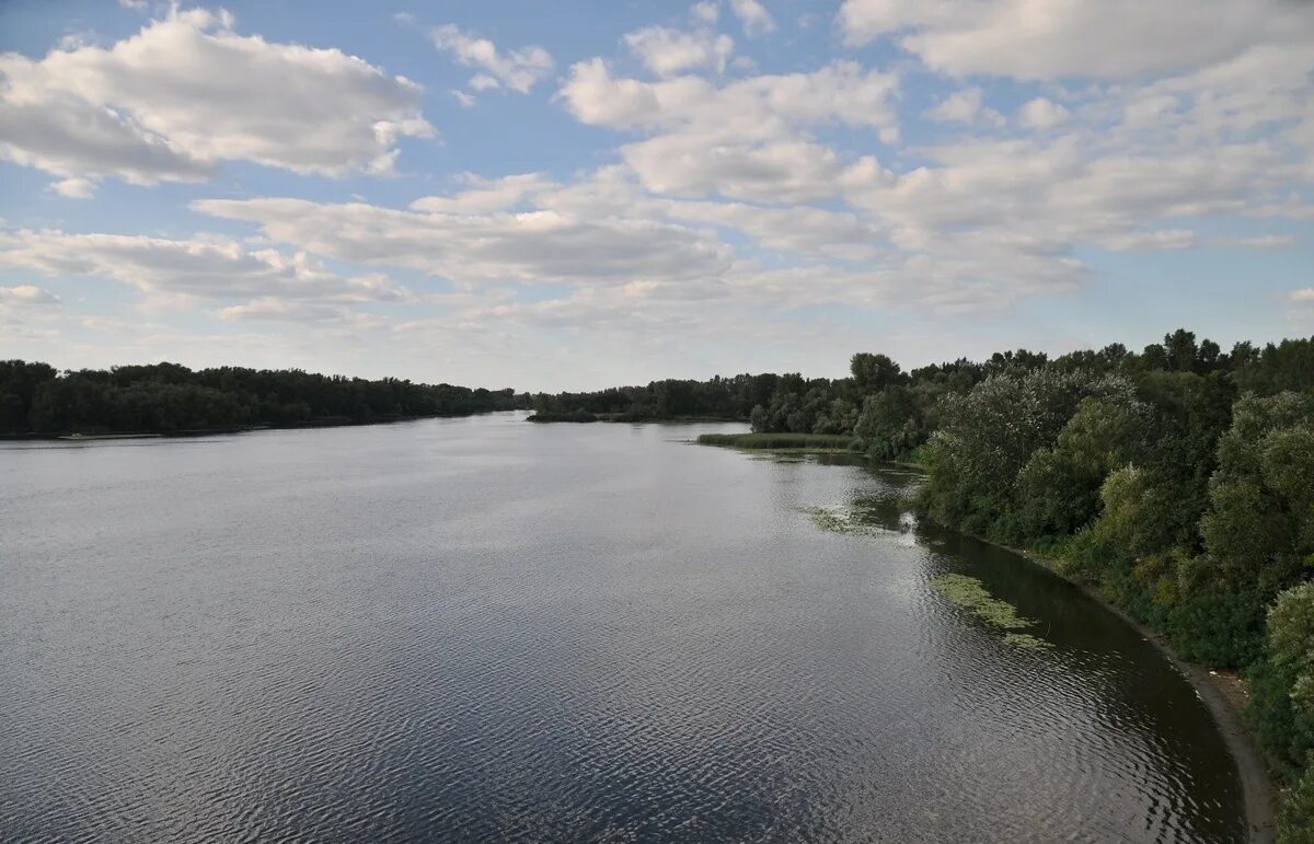 Уровень воды в реке днепр в лоеве. Река Днепр Смоленск. Река Днепр в Смоленской области. Река Днепр в Беларуси. Фото Днепра реки в Смоленской области.