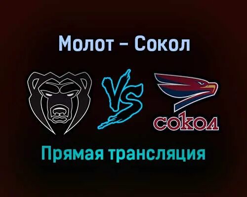 Сокол молот билеты. Сокол молот. Матч логотип. Сокол logo. Эмблемы с соколом по футболу лёгкий.