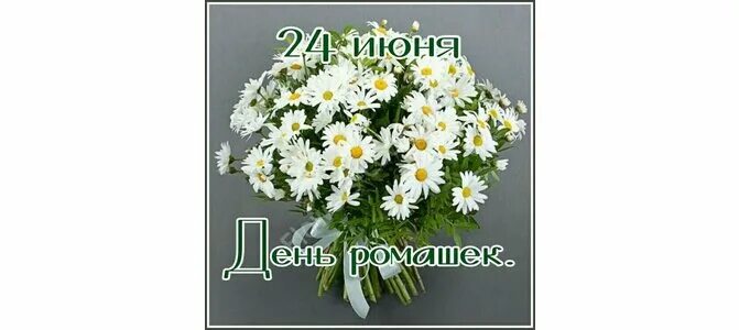 Ромашка с именами. С днём рождения ромашки. Добрые пожелания. С днем ромашек картинки с надписями красивые. С днём рождения ромашки гифки красивые.