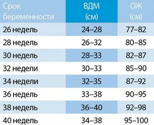 42 недели сколько месяцев. Нормы размера живота при беременности по неделям. Норма объема живота при беременности по неделям. Окружность живота на 28 неделе беременности норма. Нормы размера живота при беременности.