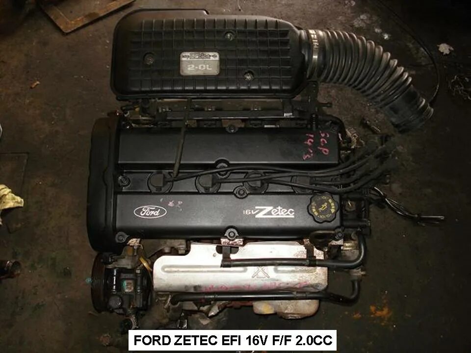 Zetec 1.8 купить. Ford Mondeo 2.0 Zetec Бабина. Двигатель Zetec 2.0. Zetec 2.0 Turbo. 2.0 Mot.Zetec 1995.