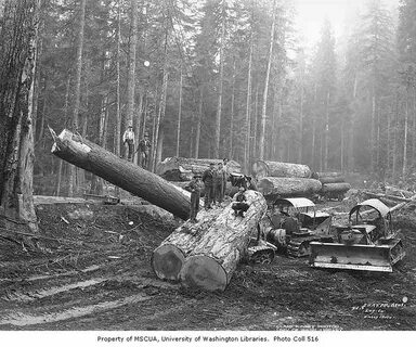 Logging time
