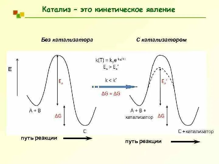 Какой катализ. Явление катализа. Катализ виды катализа. Принципы катализа. Явление катализа и катализаторы.