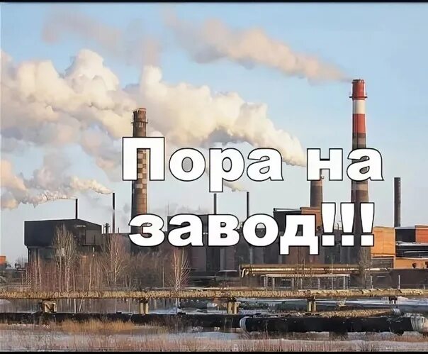 Ну все заводи. Завод. Пора на завод. Опять на завод. На завод Мем.