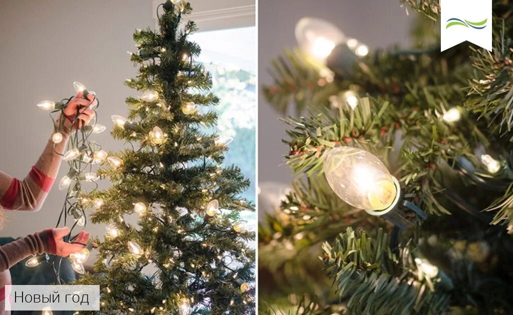 Как правильно одевать гирлянду роса. Гирлянда на елку. Елка с белой гирляндой. Повесить гирлянду на елку схема. Электрогирлянда на елку один цвет.