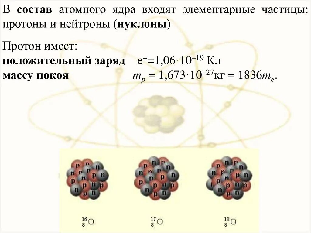 Белки входят в состав ядер. Частицы входящие в состав ядра атома. Какие частицы входят в состав атомного ядра. Частицы входящие в состав атомного ядра. Какие частицы входят в состав атомного ядра чем они отличаются.