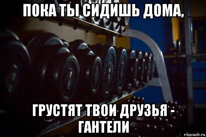 Чтобы девушки худели нужен а не гантели. Гантели прикольные. гантели прикол. штанга прикол. гантели цитаты.