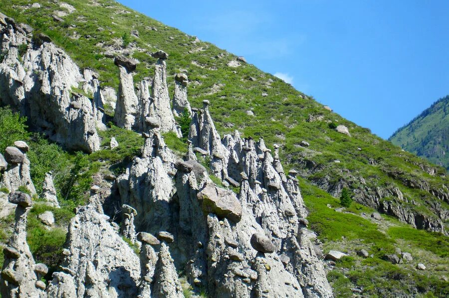 Каменные грибы аккурум алтай. Урочище аккурум каменные грибы. Кату-ярык каменные грибы. Акташ каменные грибы. Урочище аккурум каменные грибы.