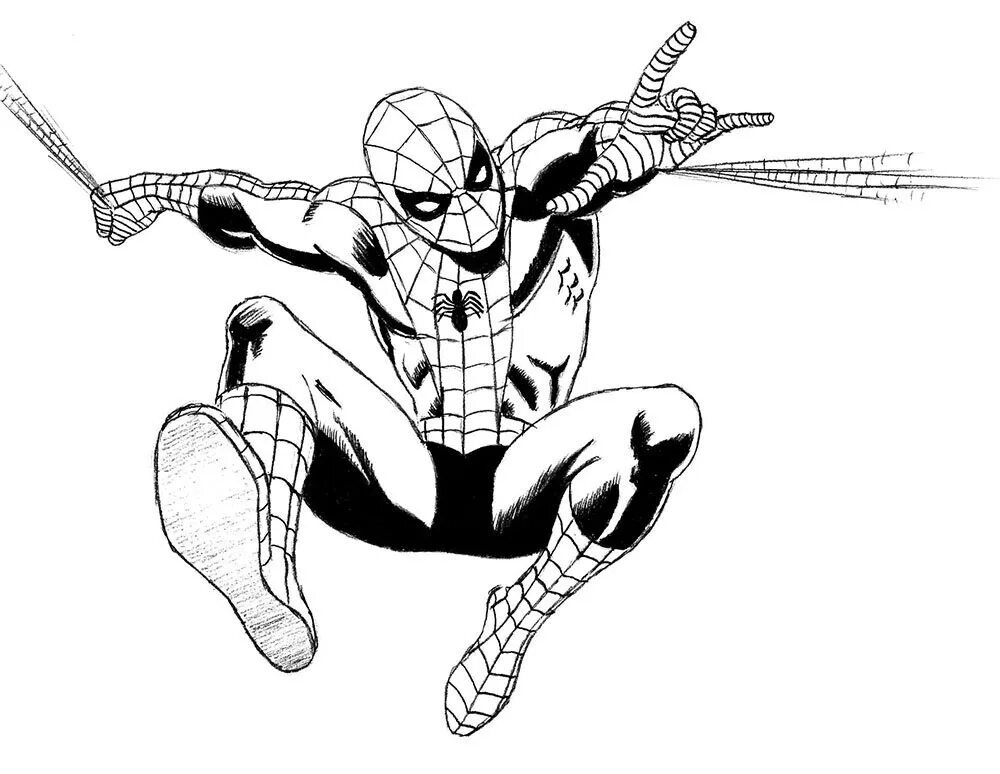 Draw spider man