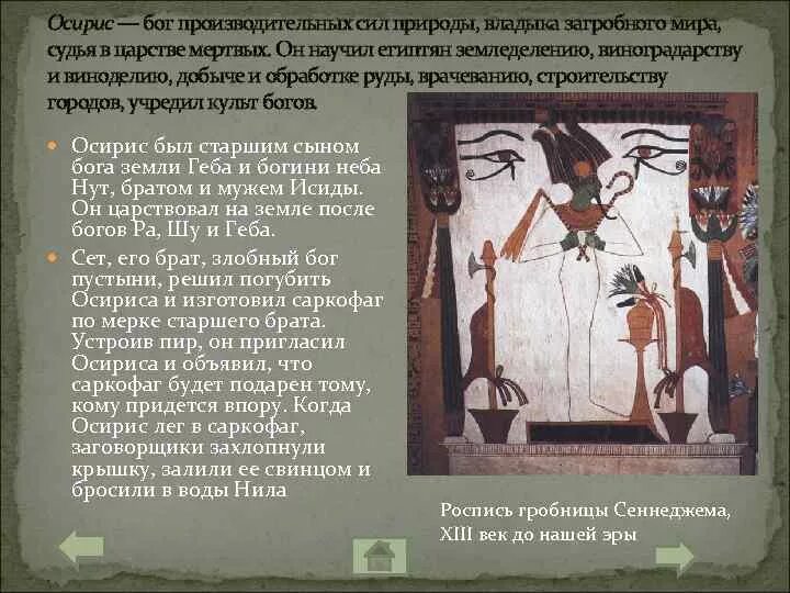 Жена осириса 5. Жена осириса 5