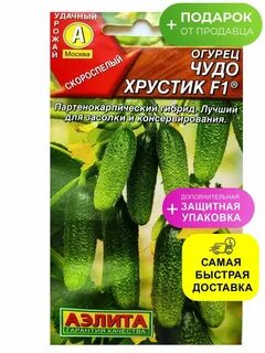 Огурец хрустик