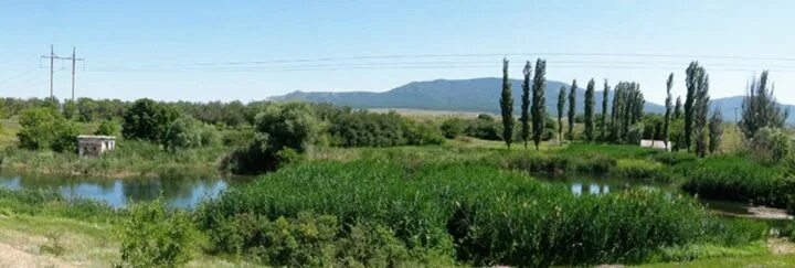 Совхоз приветное. Приветное. Село приветное крым. Дтп кировское приветное. Синоптик приветное.