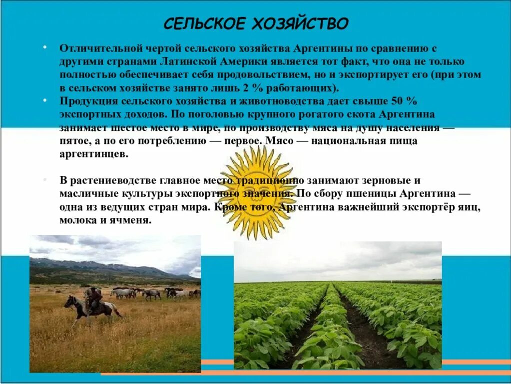 Хозяйственная деятельность населения страны сша