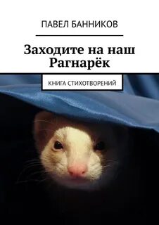 Начали заходить