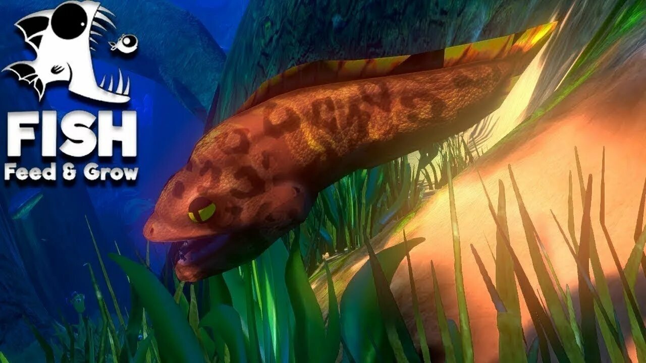 Feed and grow fish рыбы. Кормежка рыб. Комбикорма для аквакультуры. Fish feed. Фиш фид энд гроу фиш.