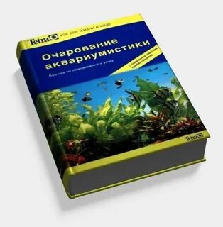 Тетра книга