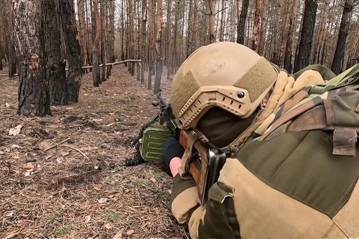 Дрг в брянской области сегодня. Диверсионно-разведывательная группа. Уничтожение ДРГ В Брянской области. Диверсанты в Брянской области.