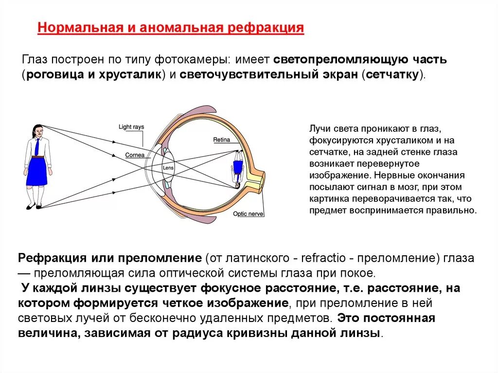 Оптическая система глаза и рефракция. Преломляющая сила оптической системы глаза. Оптическая система глаза хрусталик. Рефракция хрусталика глаза.