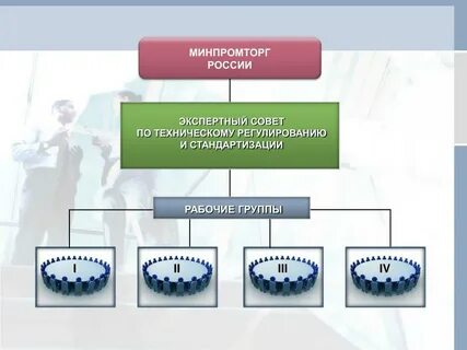 Экспертные советы комитета