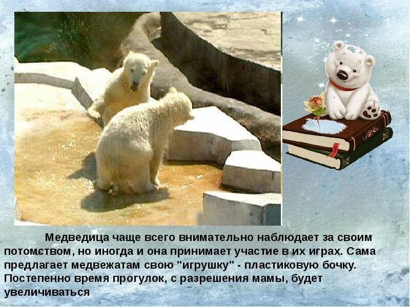 Белые медведи (творческая работа по окружающему миру, 4 класс)