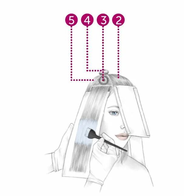 Блочное окрашивание волос схемы. Контуринг волос техника окрашивания схемы. Контуринг волос техника схема окрашивание волос. Техника контуринга волос схема окрашивания. Контуринг волос схемы окрашивания.