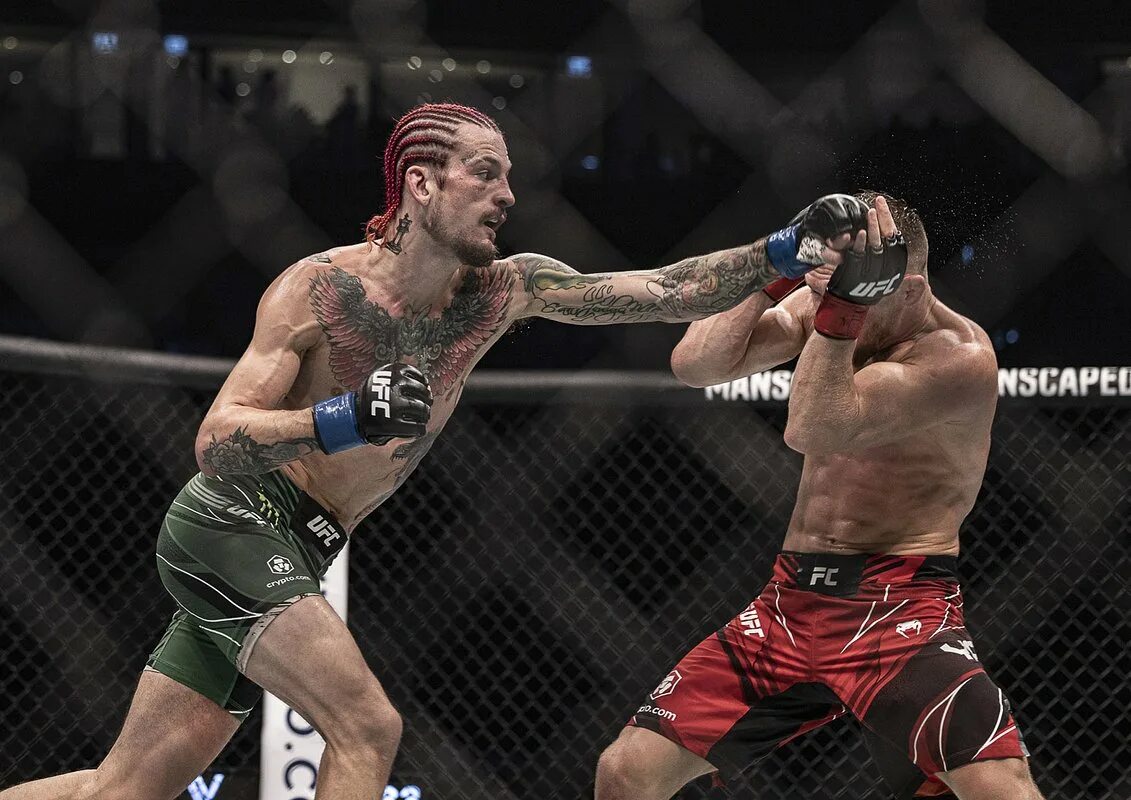 Шон о мэлли боец юфс. Боец ufc шон о'мэлли вес. Шон мейли боец. Бой шона мейли. Ufc шон о'мэлли.