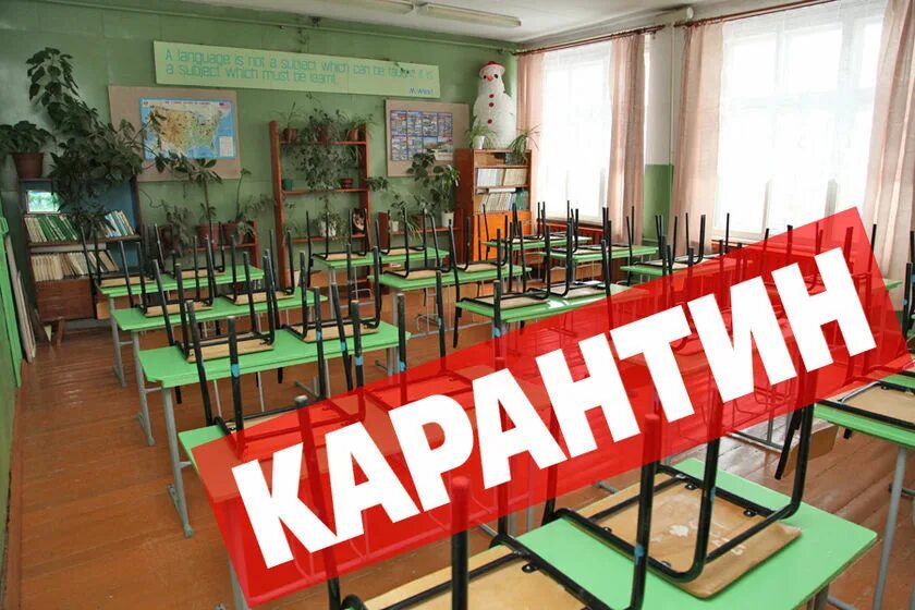 Когда закрывают класс на карантин в школе. Карантин в школе. карантин в садике.