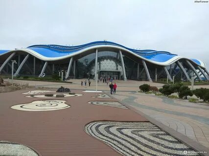 Океанариум владивосток билеты