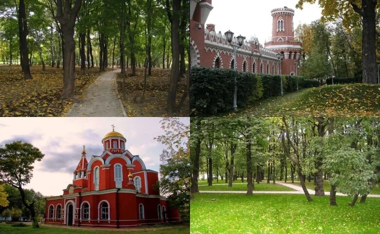 Петровский парк Москва. Петровский парк Динамо. Район Петровский парк Москва. Москва Речной вокзал Петровский парк. Петровский парк сайт парка