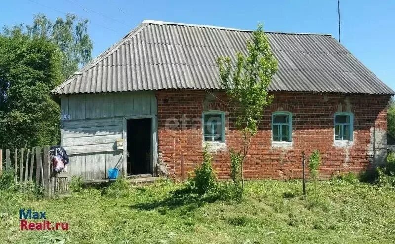 Д савки. Савка самка. Американская савка oxyura jamaicensis. Красный совок. Д савки.