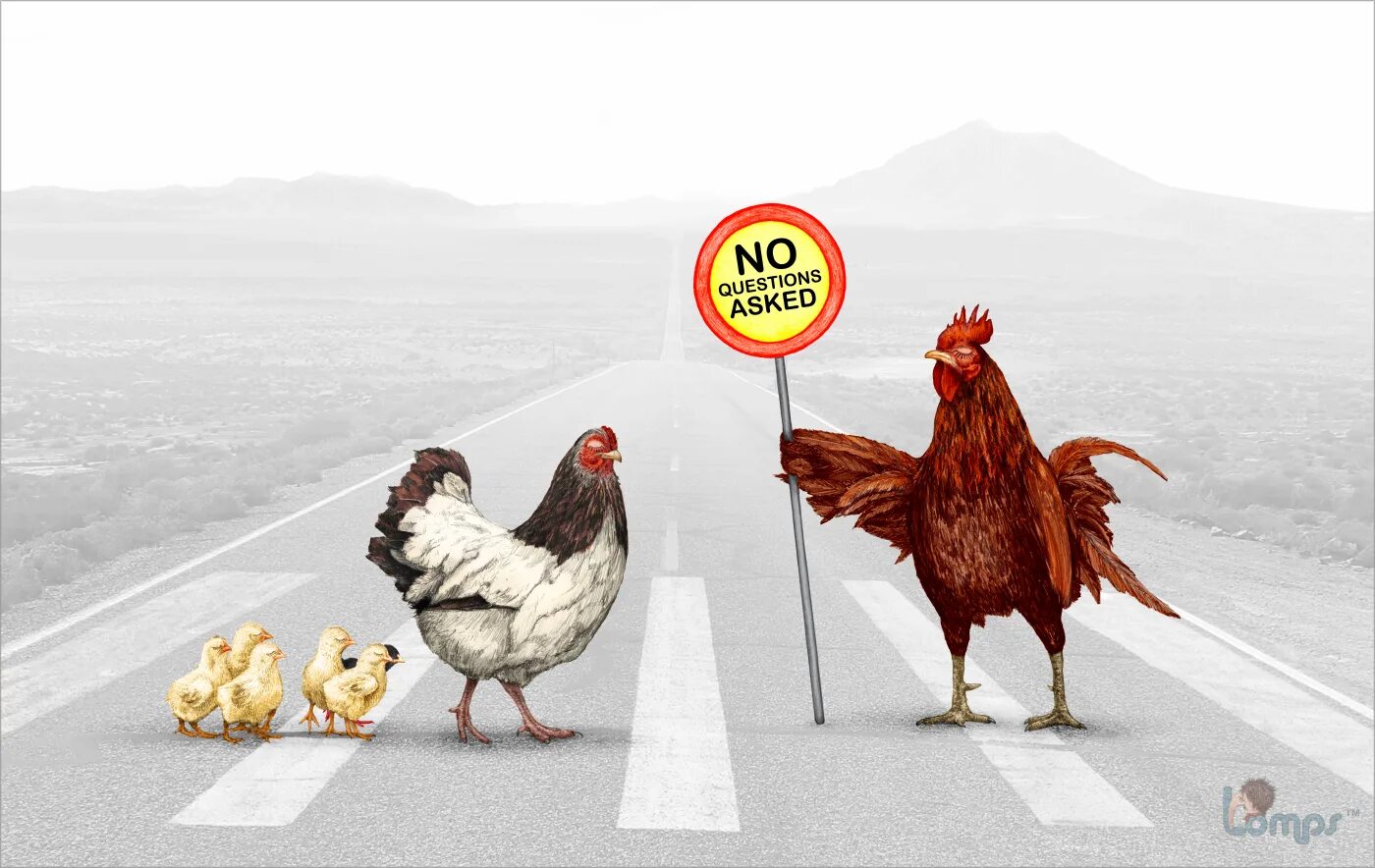 Так тебе и надо курица. Реклама курицы. Реклама курочки. Куры реклама. Реклама с курами.